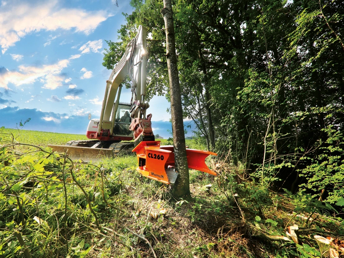 Basic Tree Shears