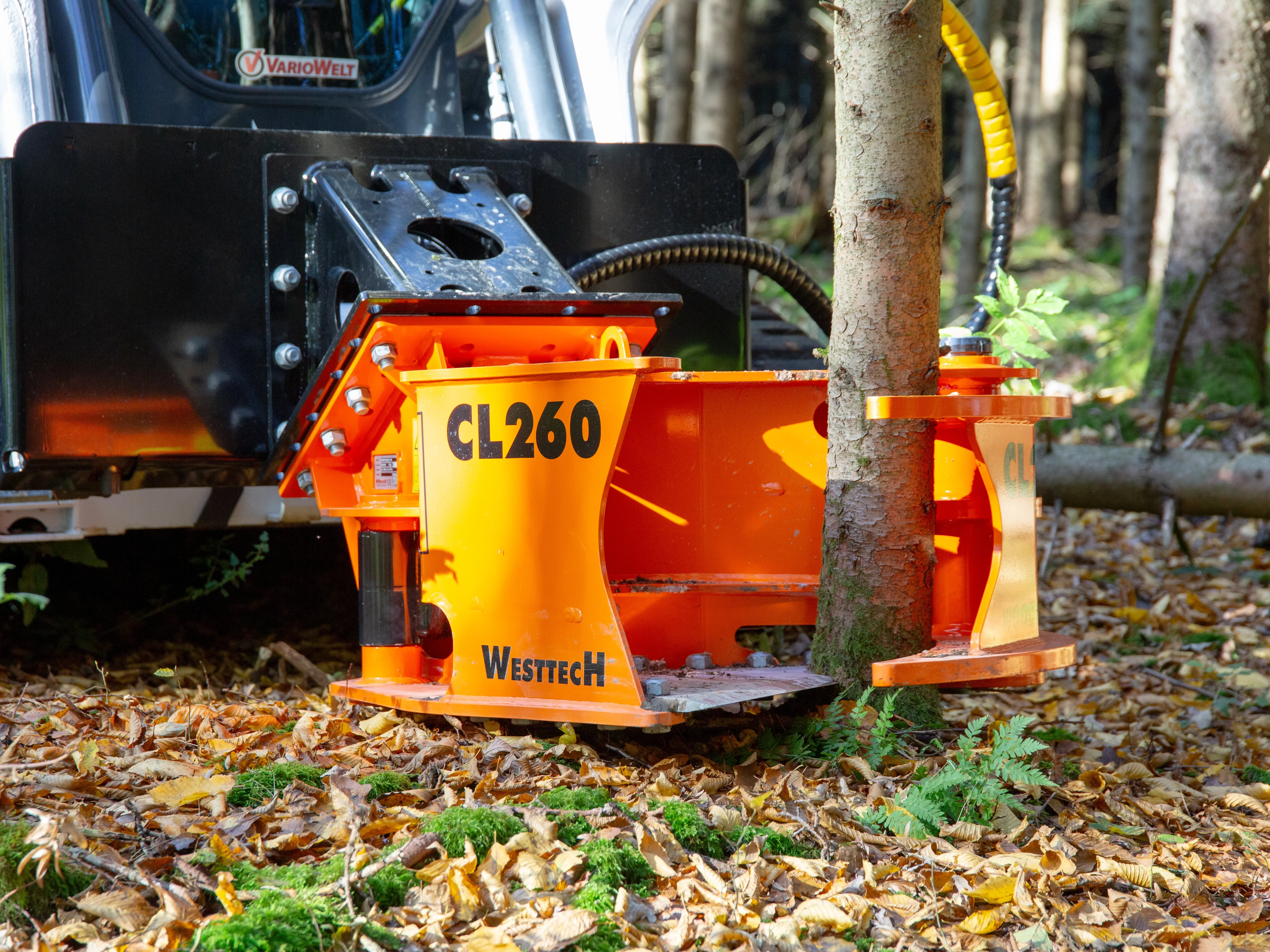 Basic Tree Shears