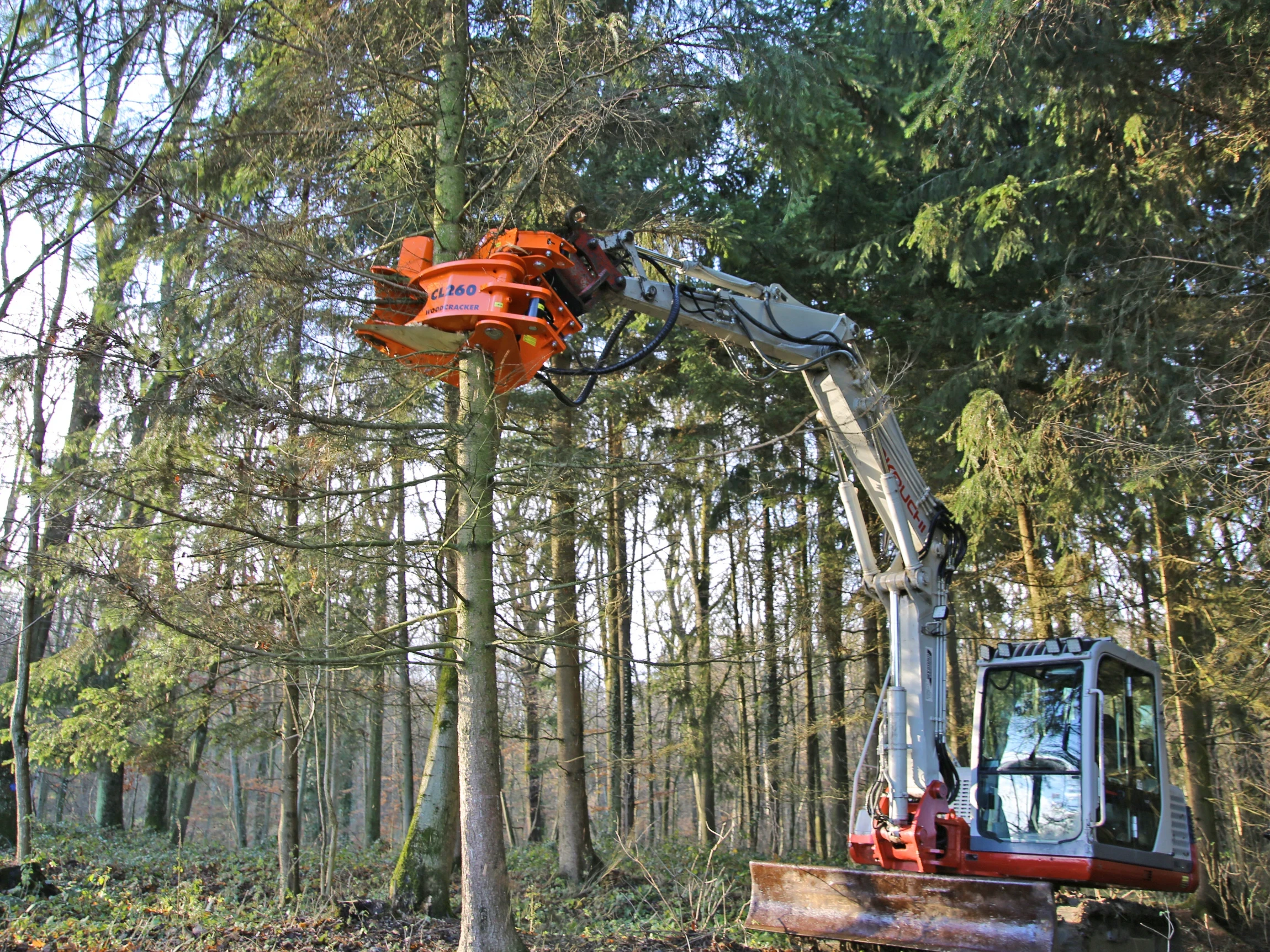 Basic Tree Shears