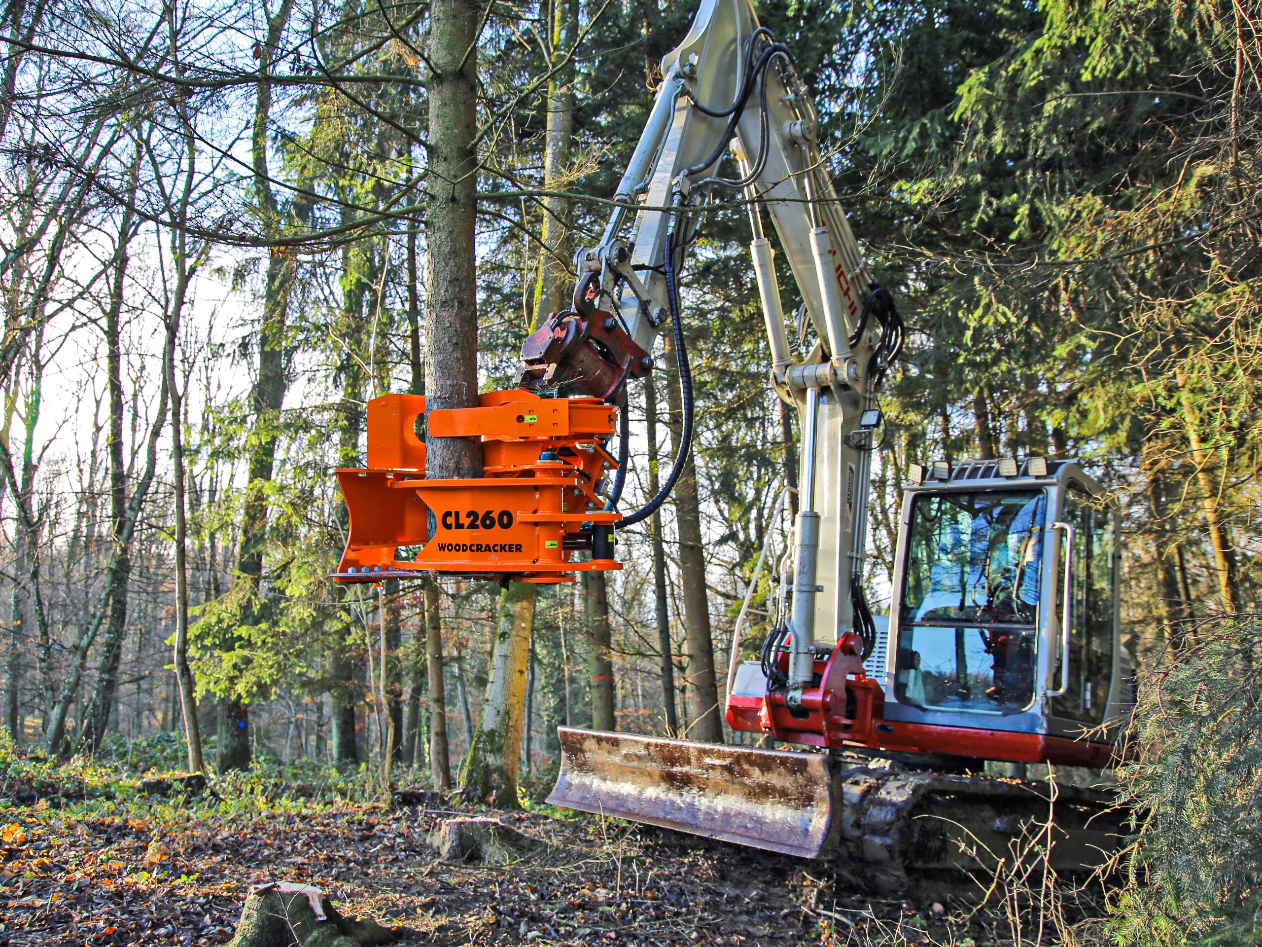 Basic Tree Shears