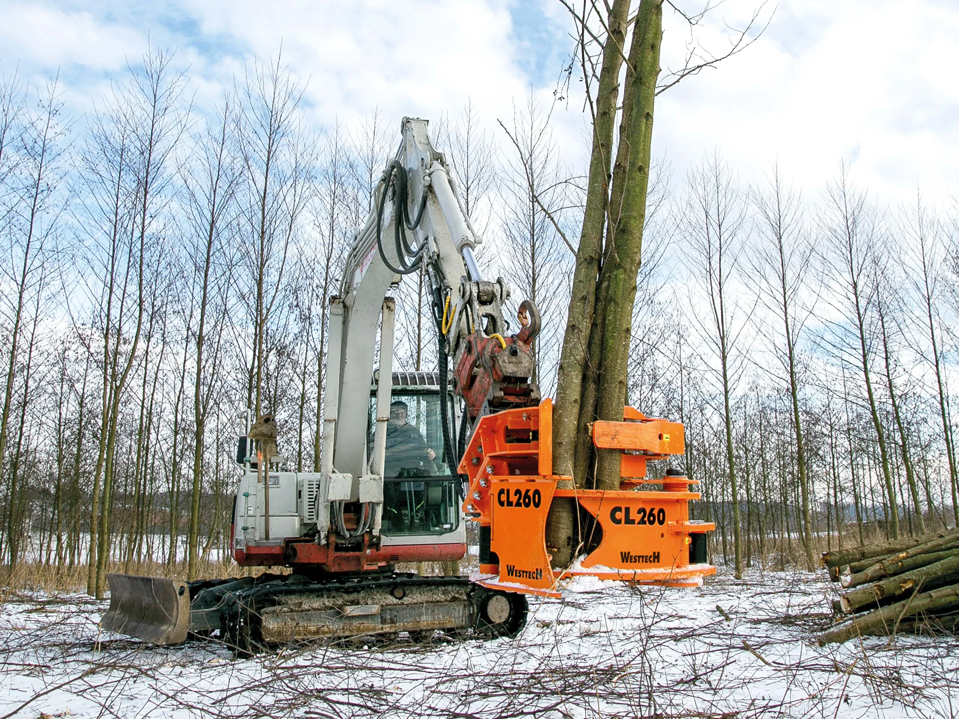 Basic Tree Shears