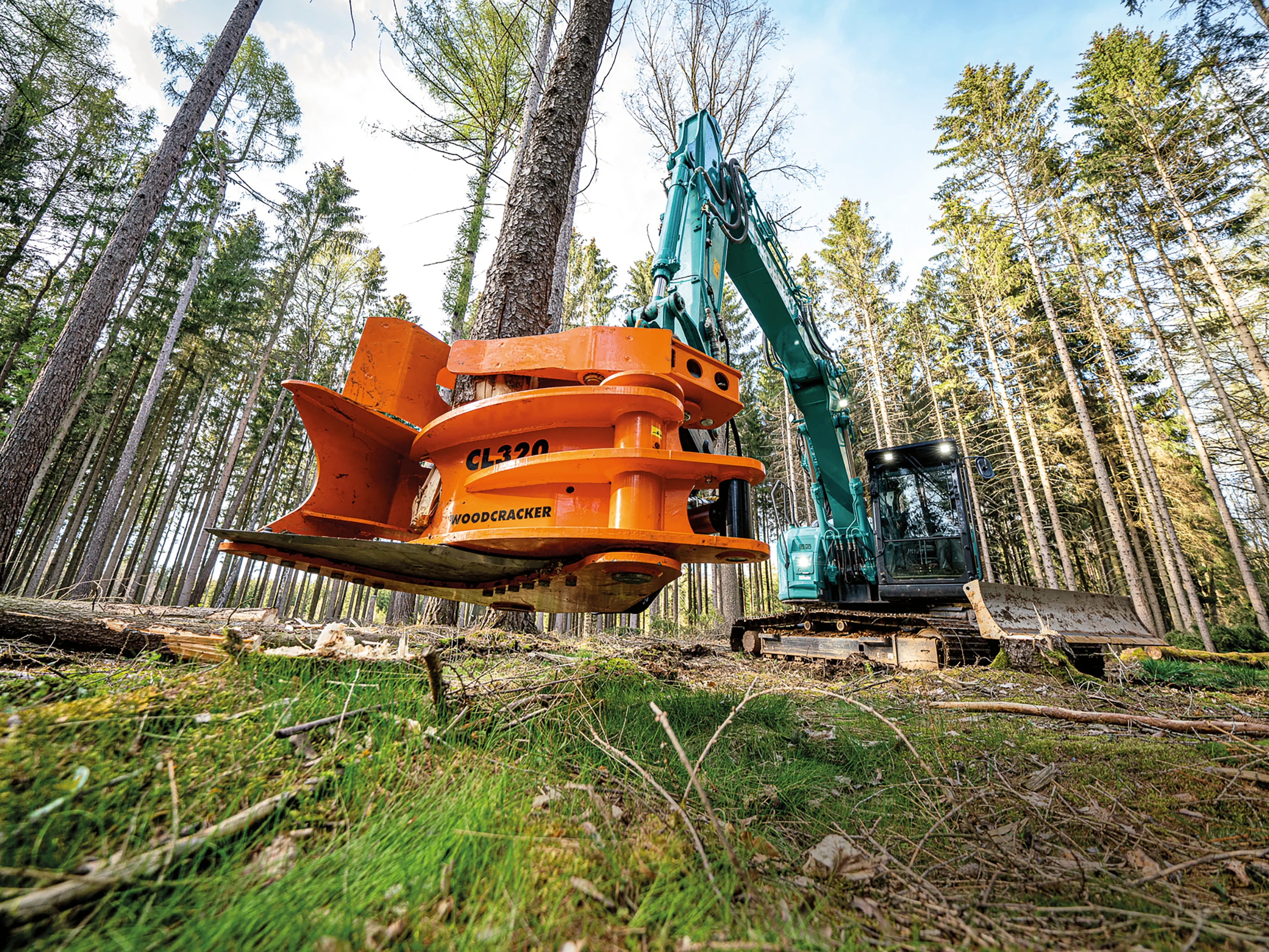 Basic Tree Shears