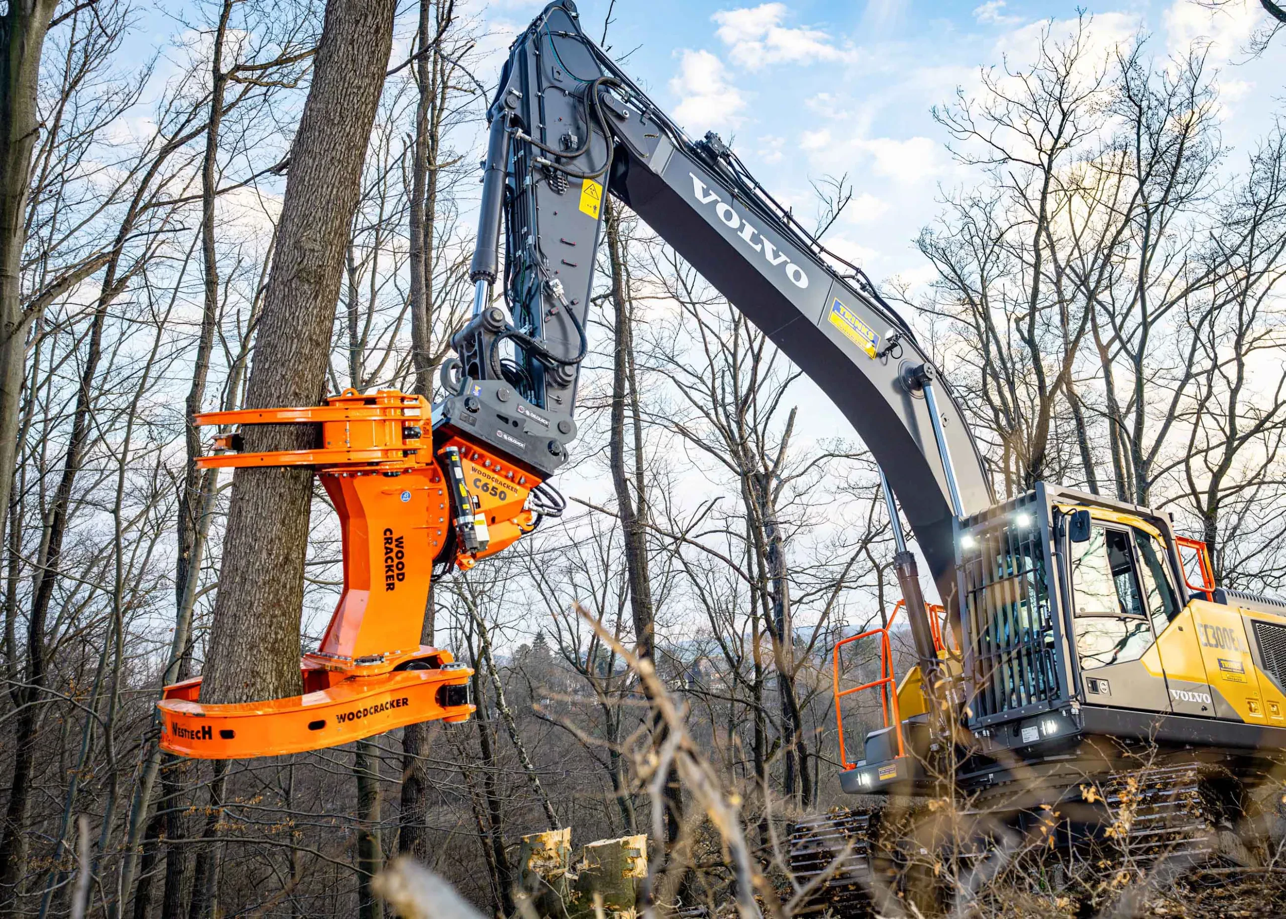 Professional Tree Shears
