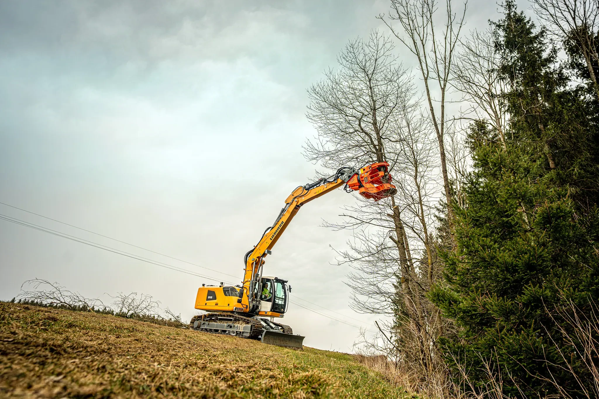 Professional Tree Shears