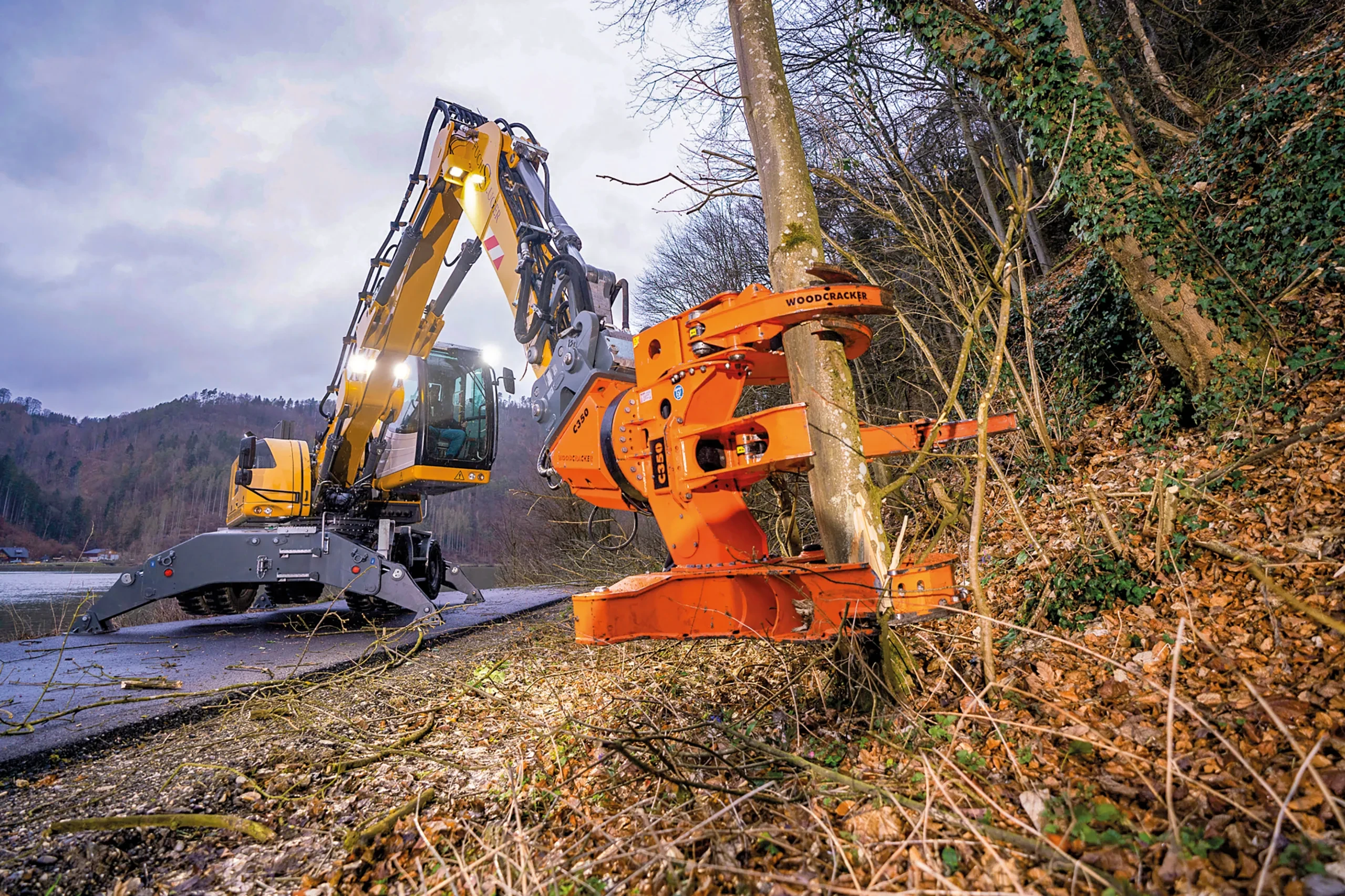 Professional Tree Shears