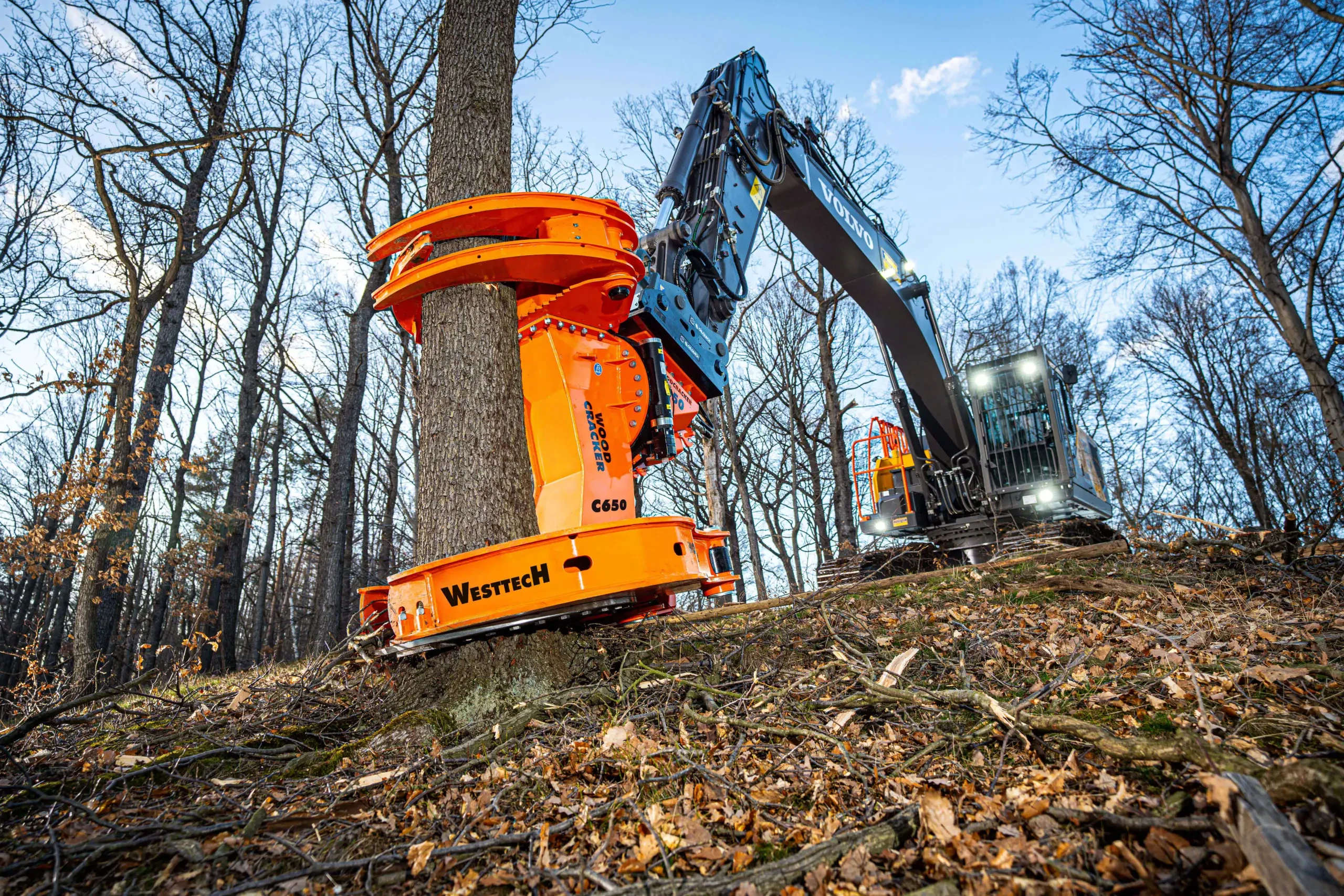 Professional Tree Shears