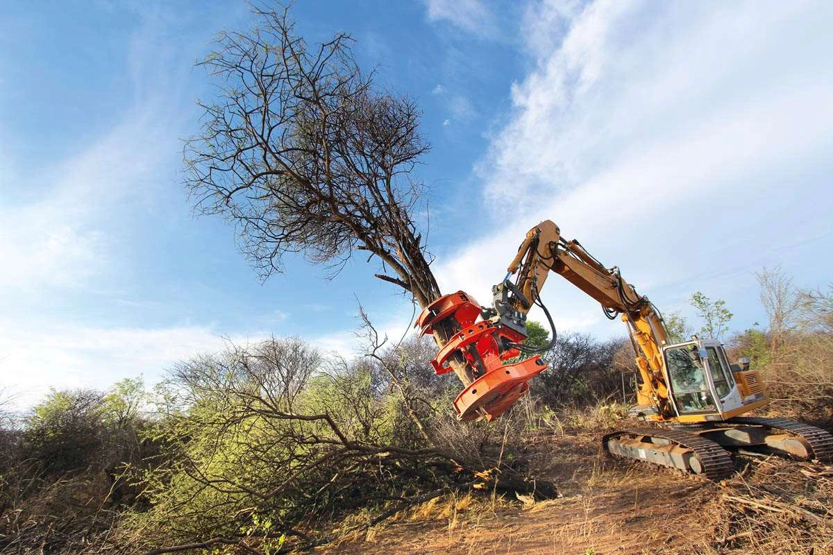 Professional Tree Shears