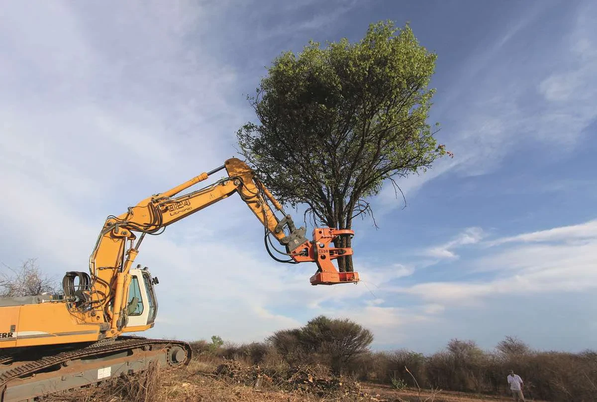 Professional Tree Shears