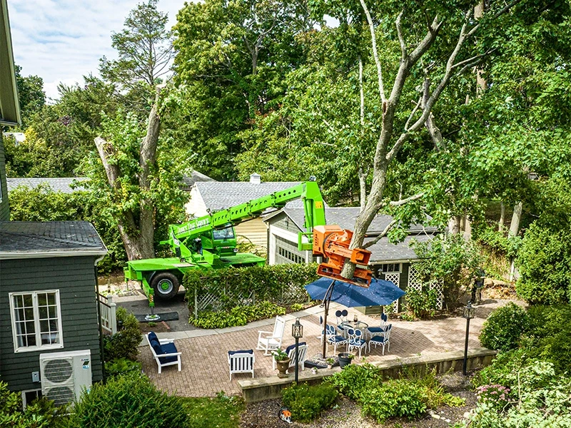 Telehandler Grapple Saws