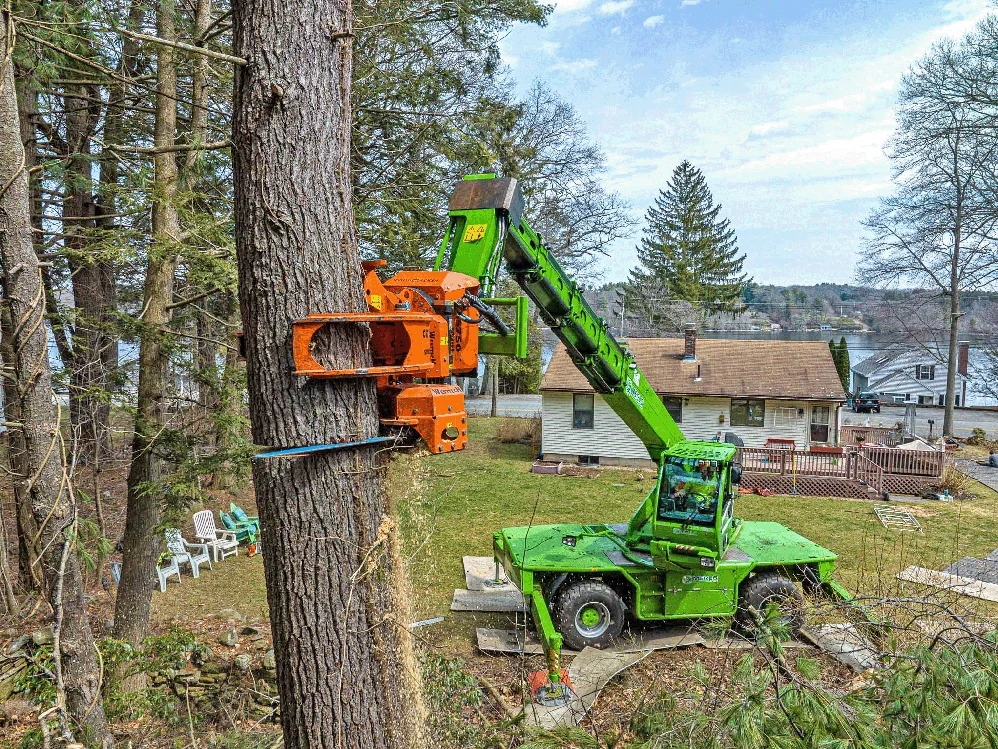 Telehandler Grapple Saws