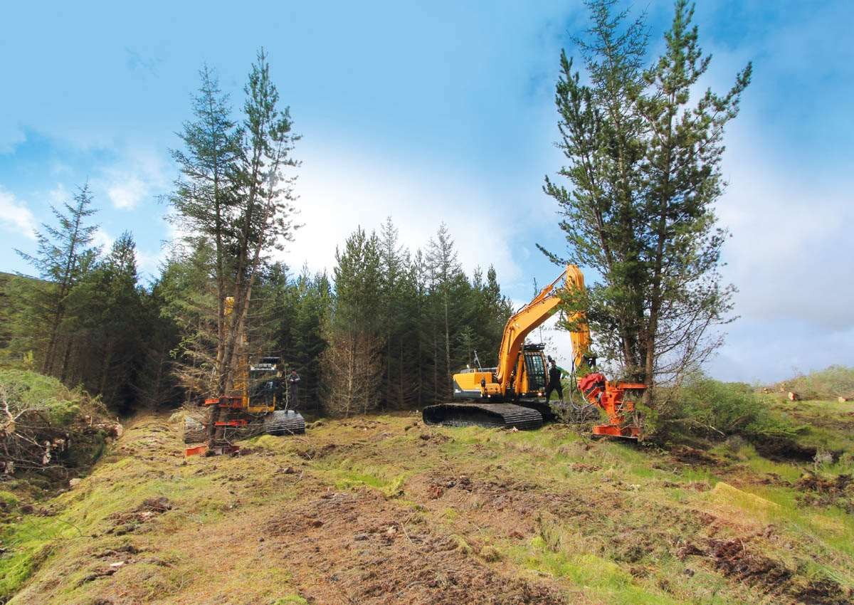 Forestry & Landscaping Category Image